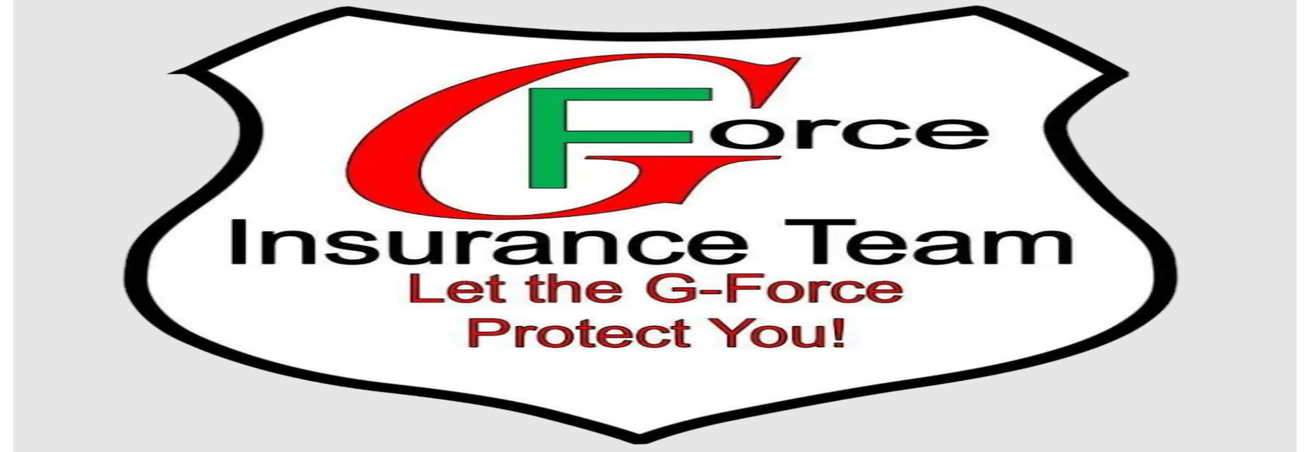 G -Force Insurance Team