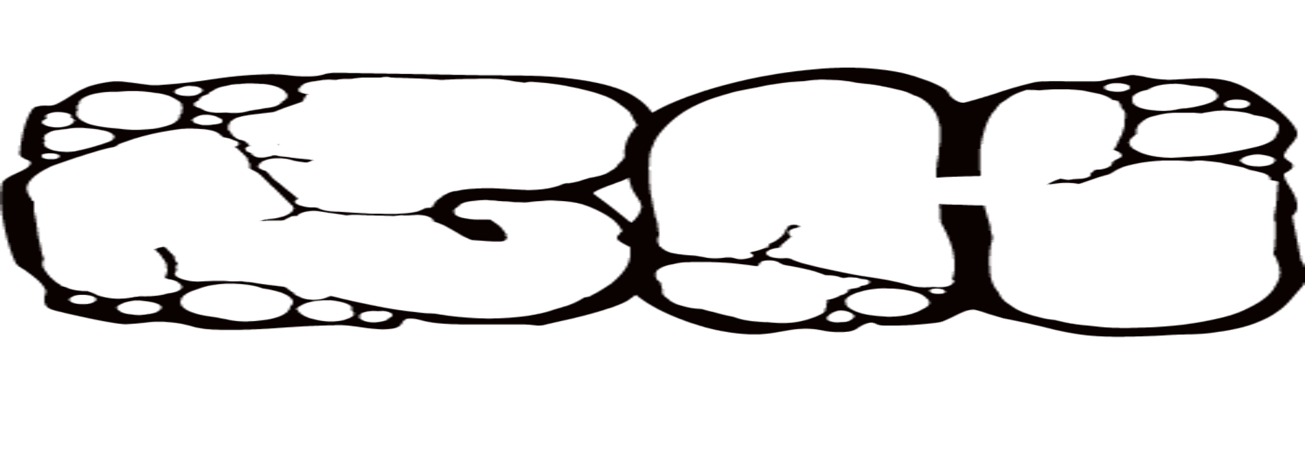 G Holdings