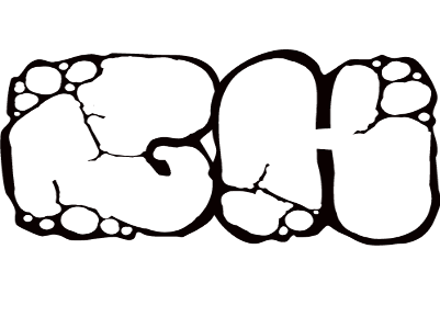 G Holdings