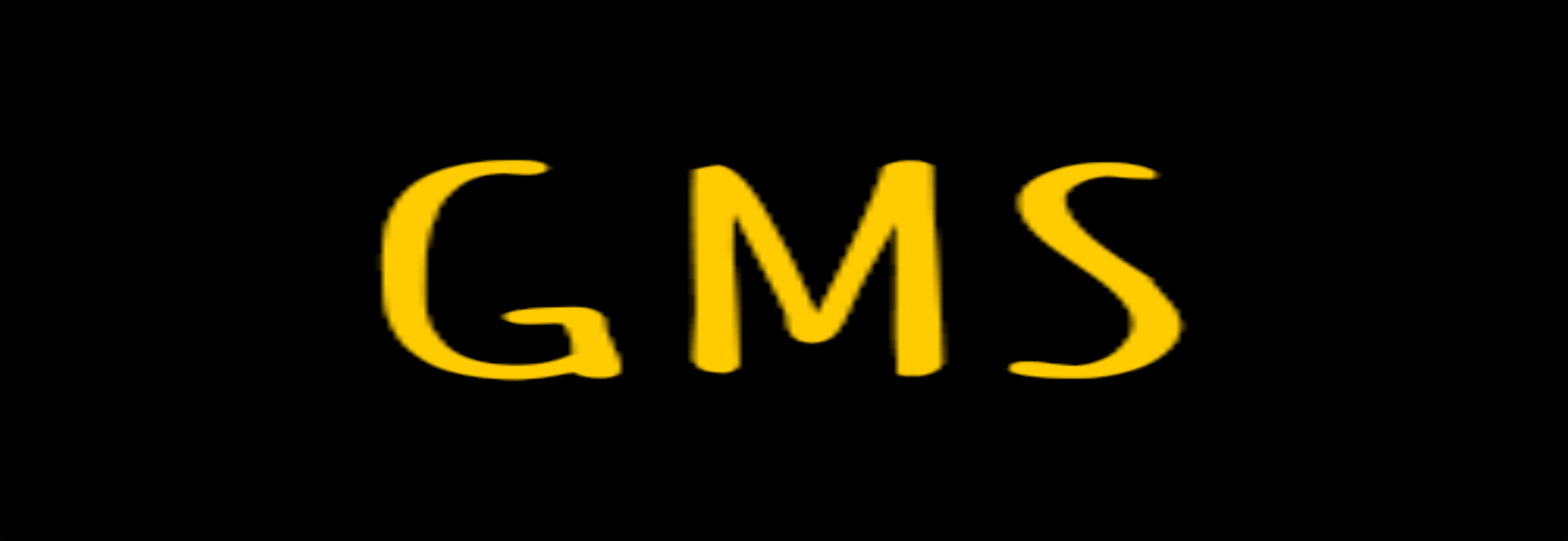 G & M Solutions LLC