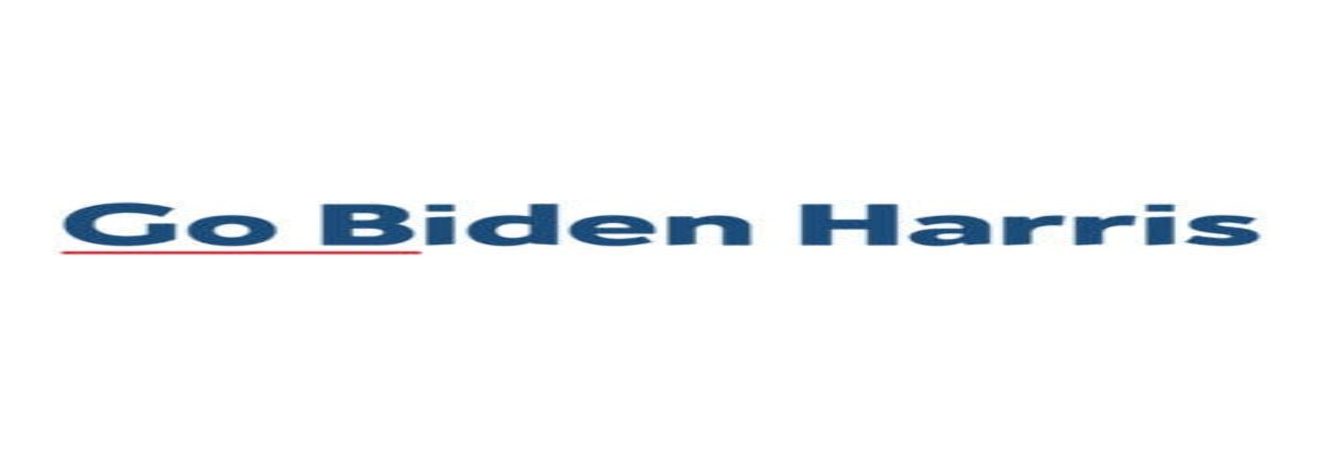 Go Biden Harris