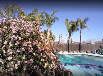 Go Pool Service