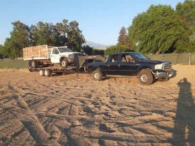 Green Bees Hauling & Junk