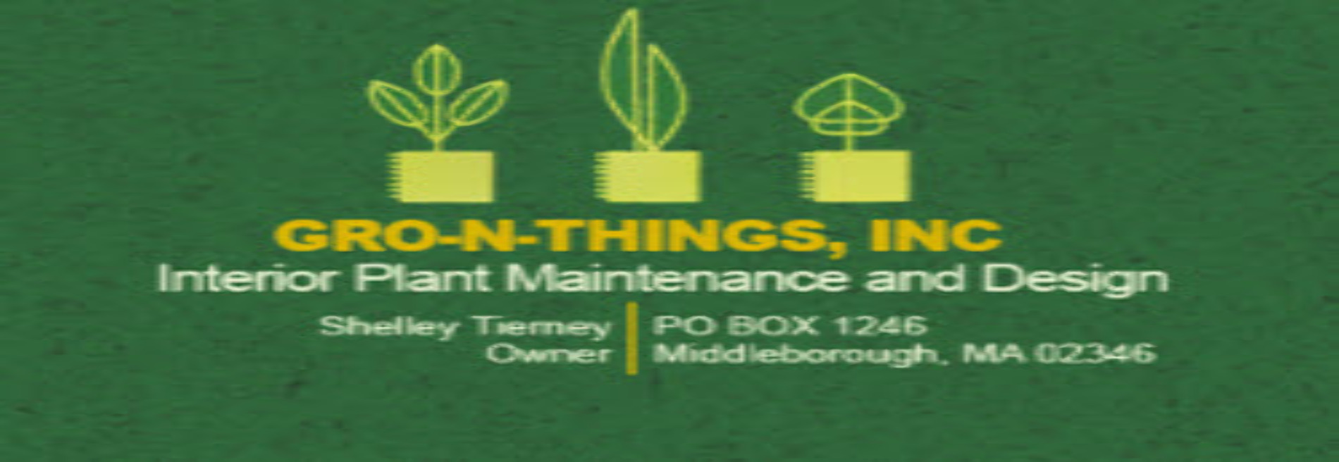 Gro-N-Things Inc