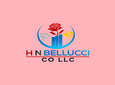 H N BELLUCCI CO, LLC