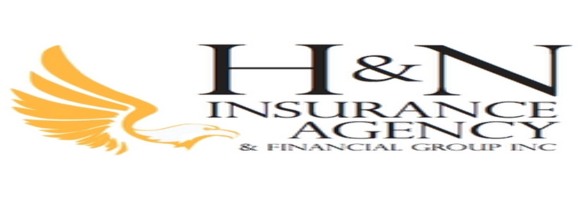 H & N Insurance Inc