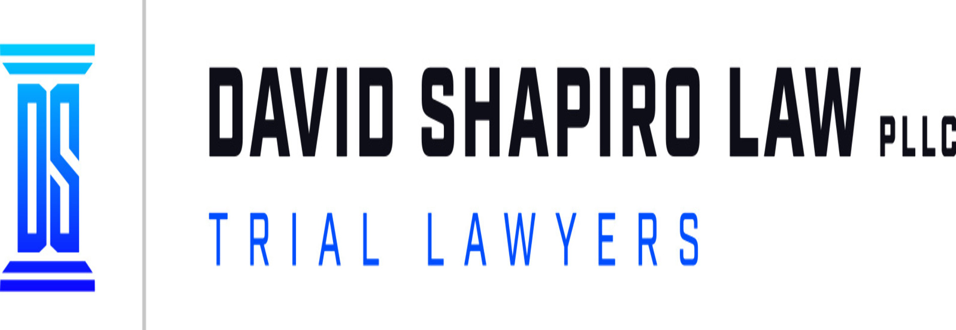 Heather E. Bushor, Attorney at David Shapiro Law, PLLC