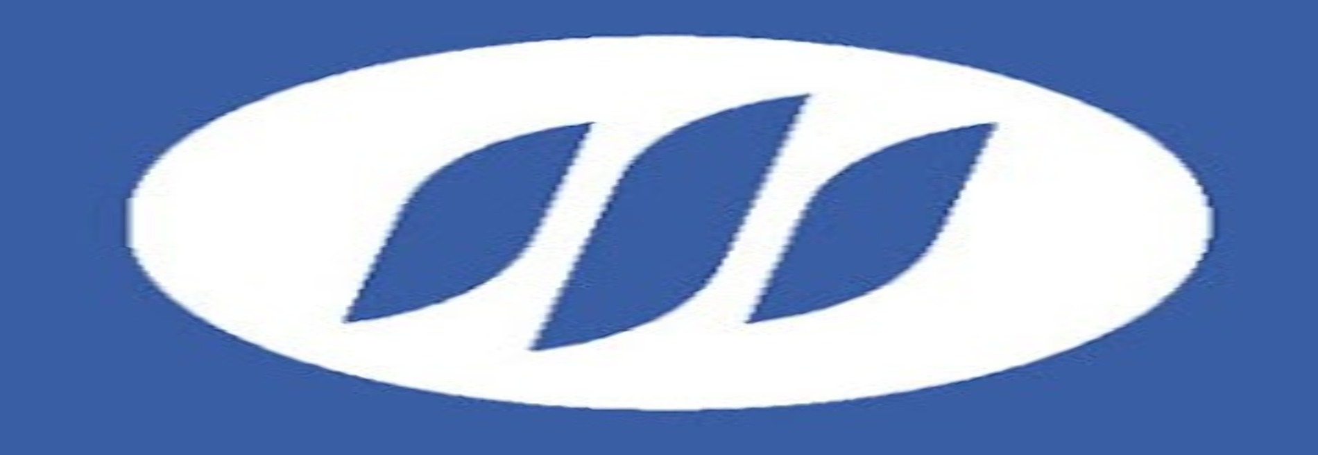 Hernan B. Conant Insurance Agency