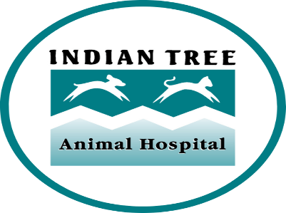 Indian Tree Animal Hospital