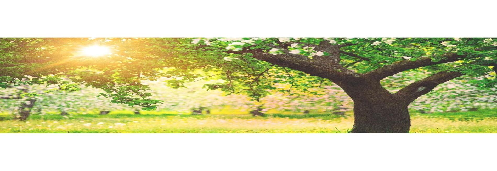 J & M Lawn Service and More LLC