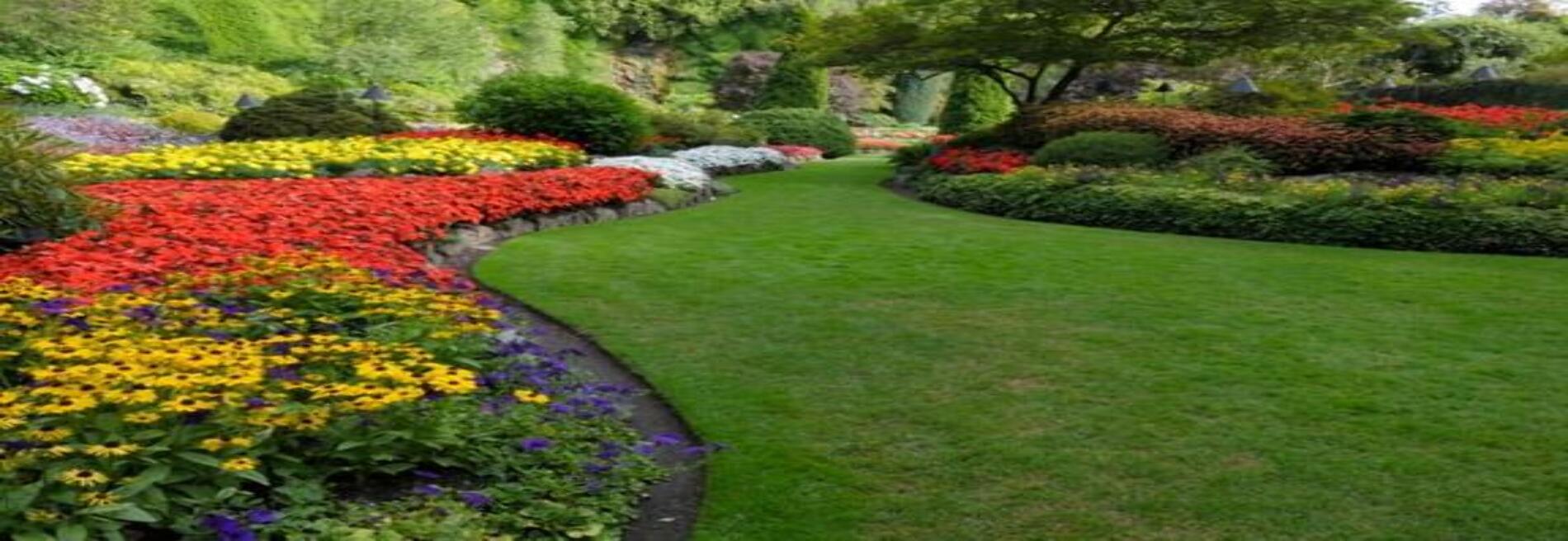J & S Landscape Inc.