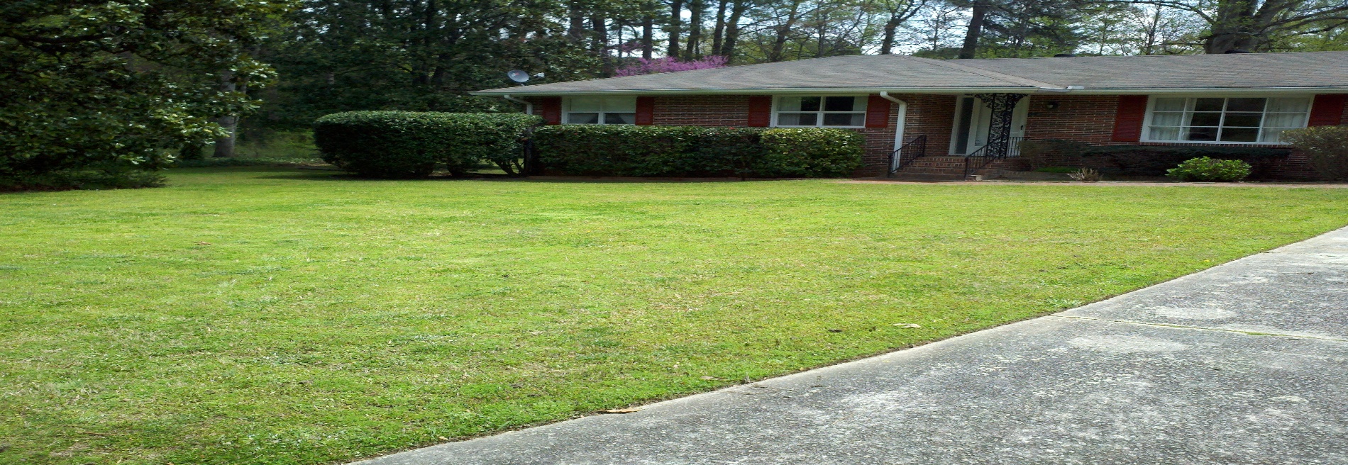 K&N Lawn Maintenance