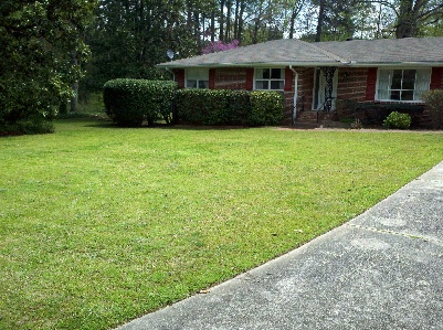 K&N Lawn Maintenance
