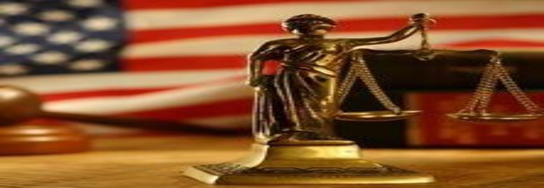 Law Office of William S Schneider
