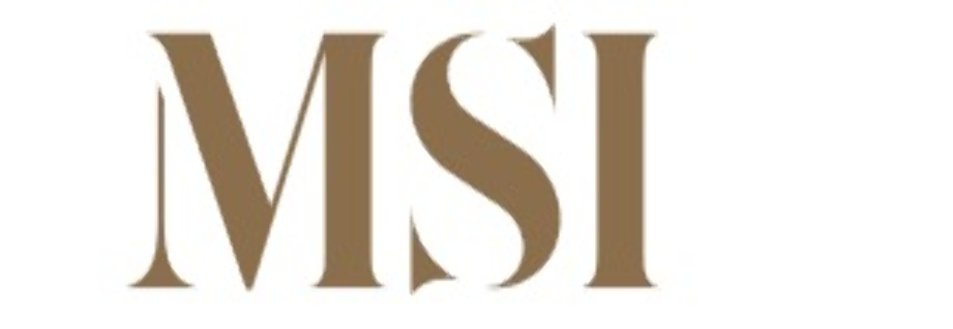 M S International