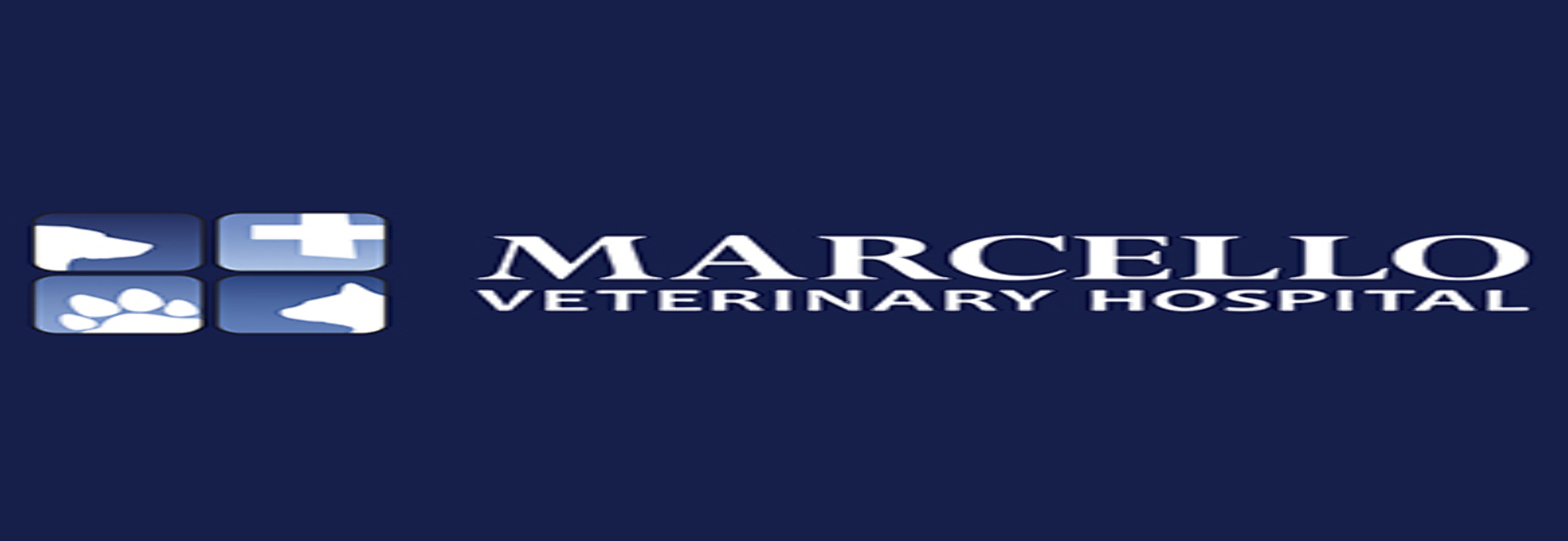 Marcello Veterinary Hospital Houma