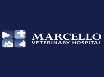 Marcello Veterinary Hospital Houma