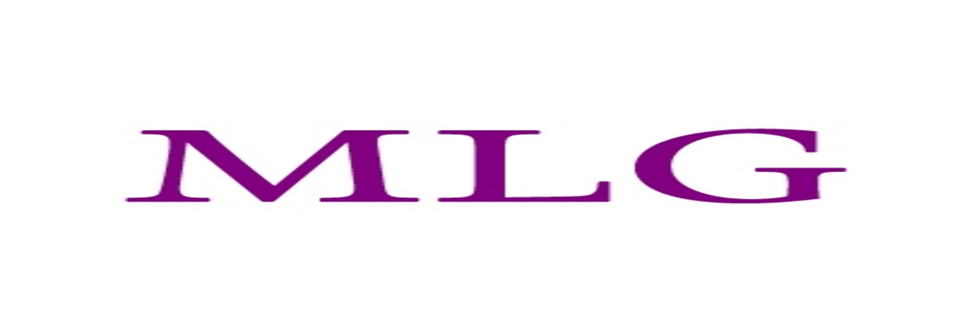 Michelle L. Guarneri, Attorney At Law