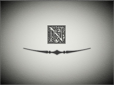N Products LLC