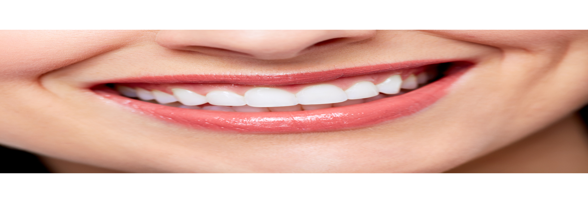 Neville W Richter, DDS
