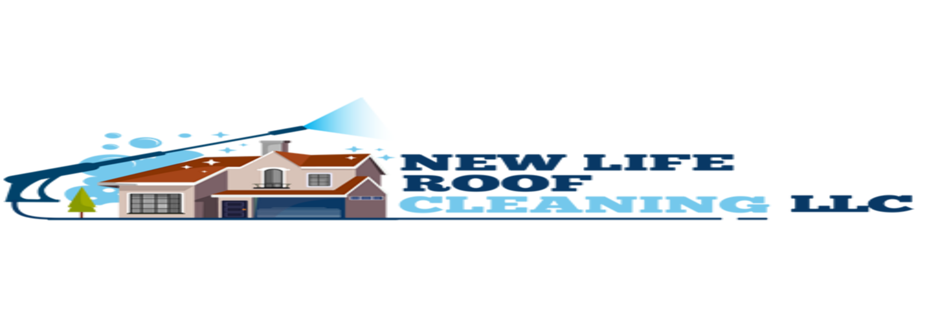 New Life Roof Cleaning