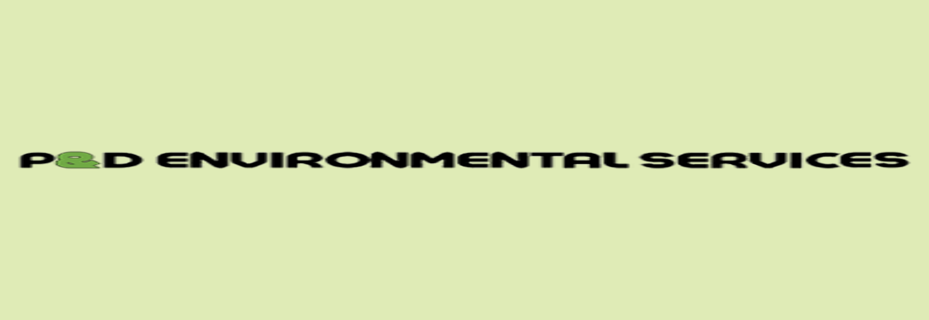 P & D Environmental Services