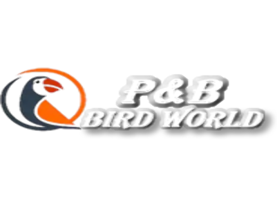 P&D World Birds Store
