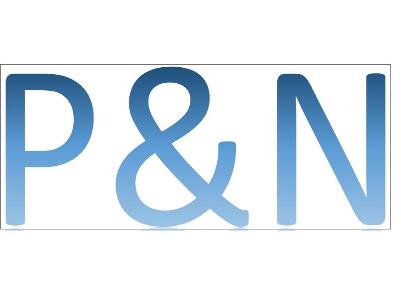 P & N CONSULTING INC