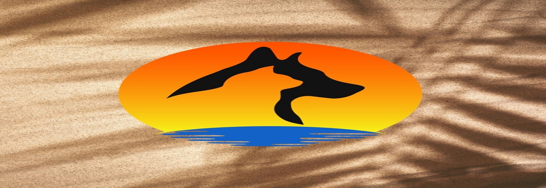 Pacific Animal Hospital