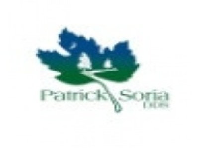 Patrick J Soria, DDS