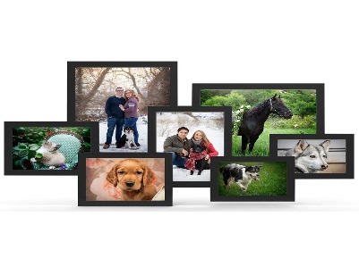 Pets R Family