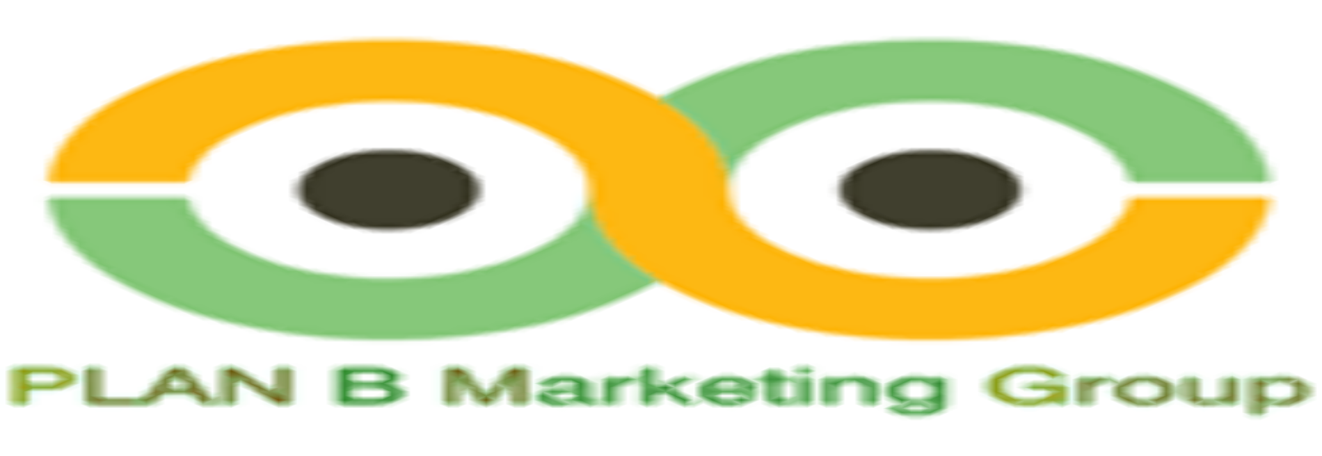 Plan B Marketing Group Inc