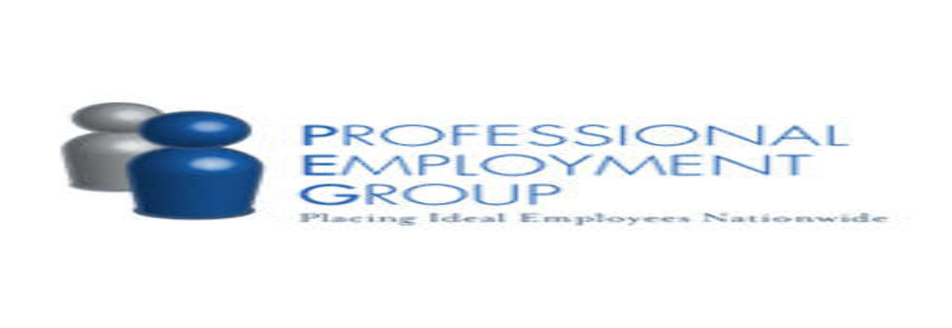Professional Employment Group
