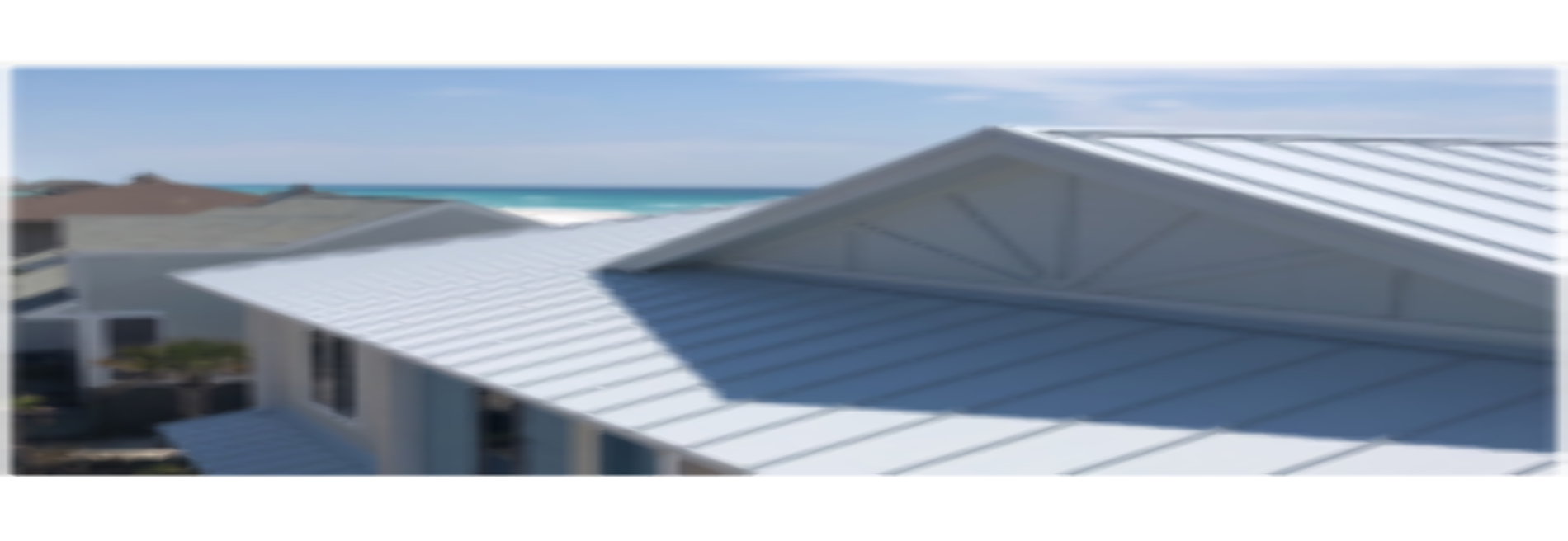 Professional Roofing