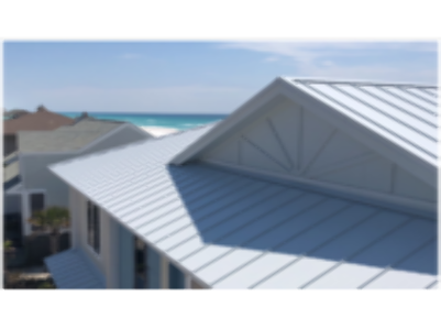 Professional Roofing