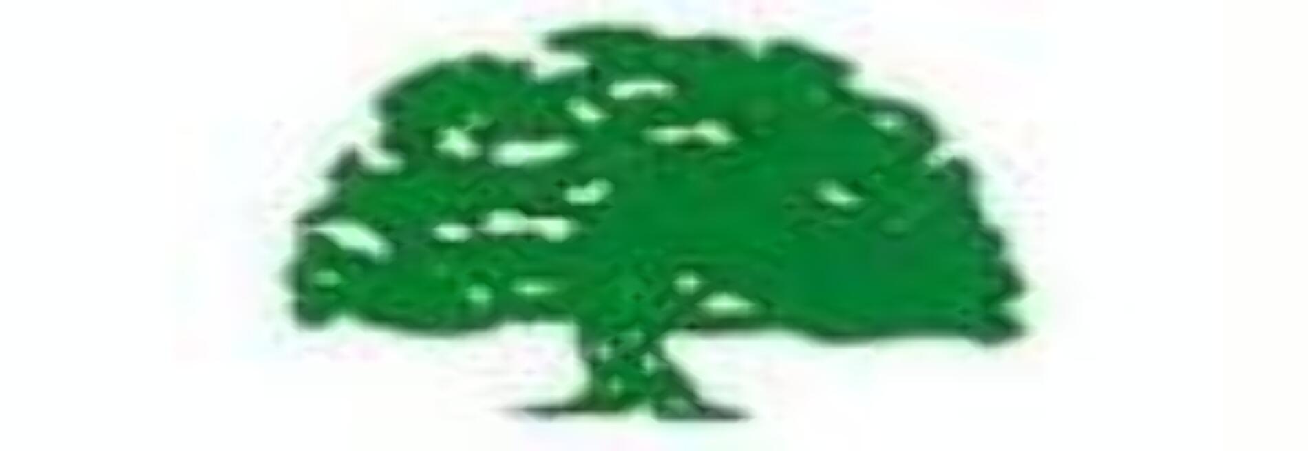 R & J Tree Service