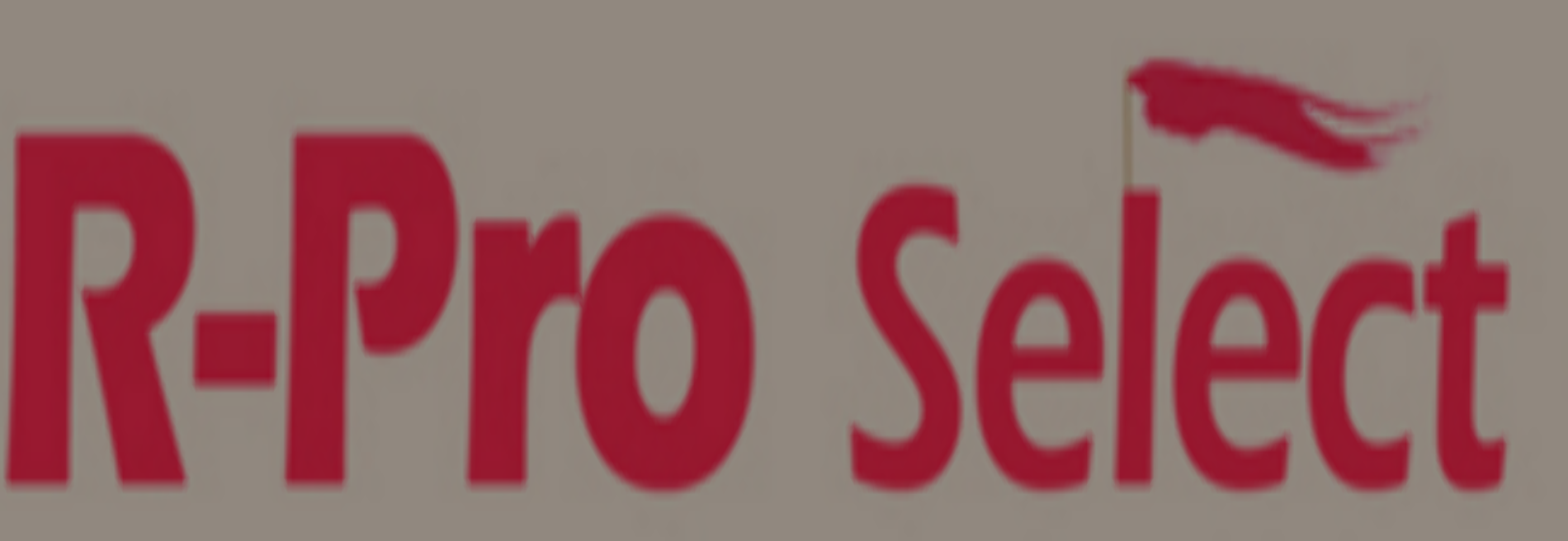 R Pro Select LLC