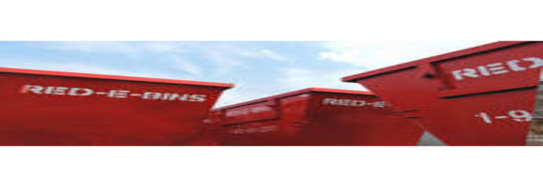 RED-E-BINS