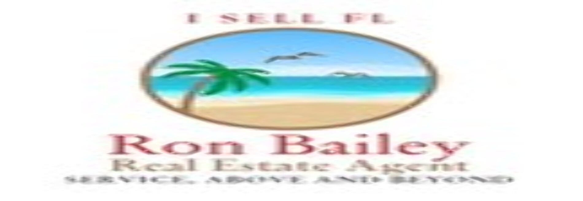 Ron Bailey Real Estate Agent