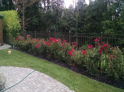 S&S Landworks LLC