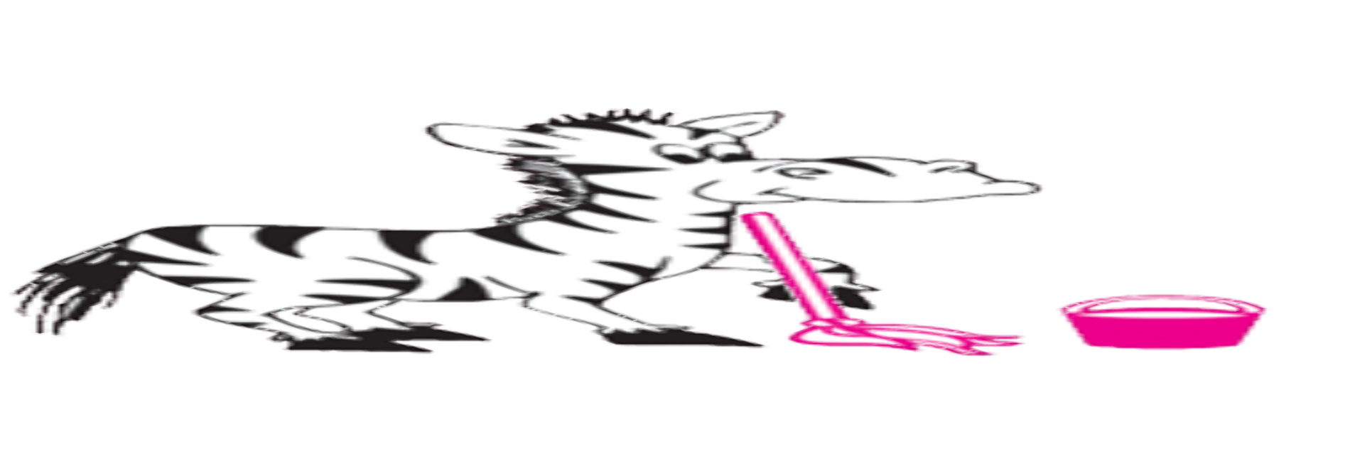 S&T Janitorial Service LLC