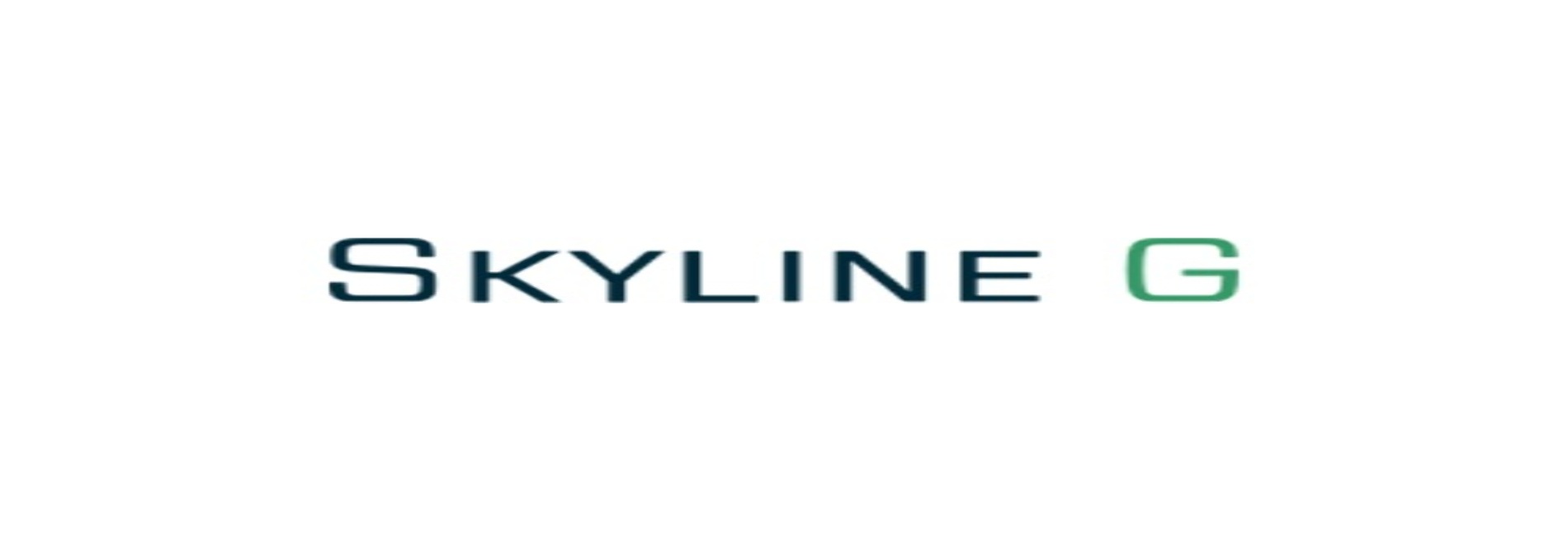 Skyline G - Executive Coaching & Leadership Development