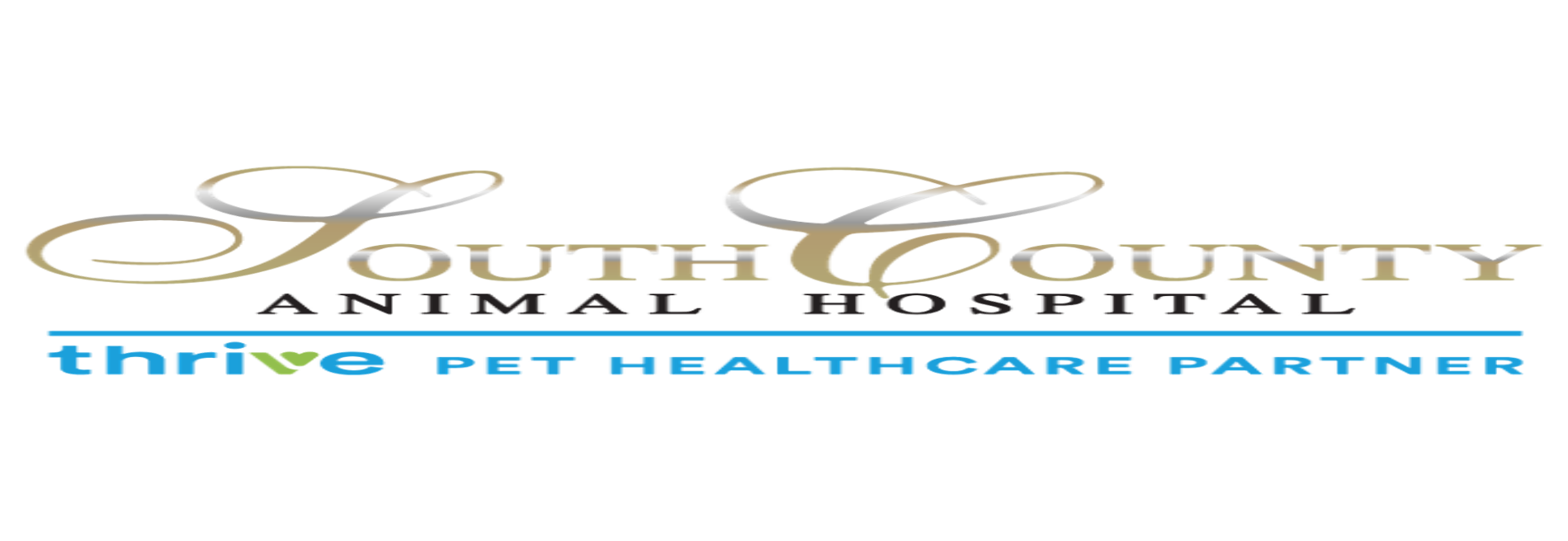 South County Animal Hospital, A Thrive Pet Healthcare Partner