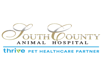 South County Animal Hospital, A Thrive Pet Healthcare Partner