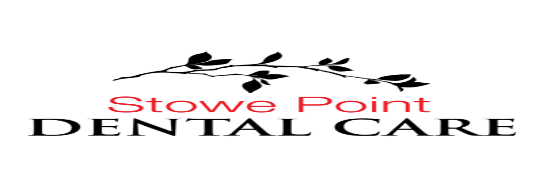 Stowe Point Dental Care
