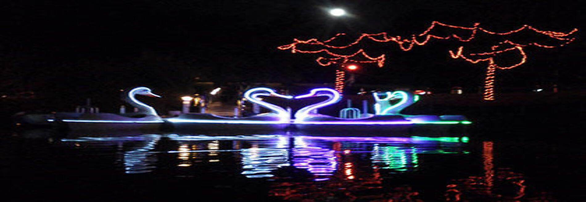 Swan Paddle Boats