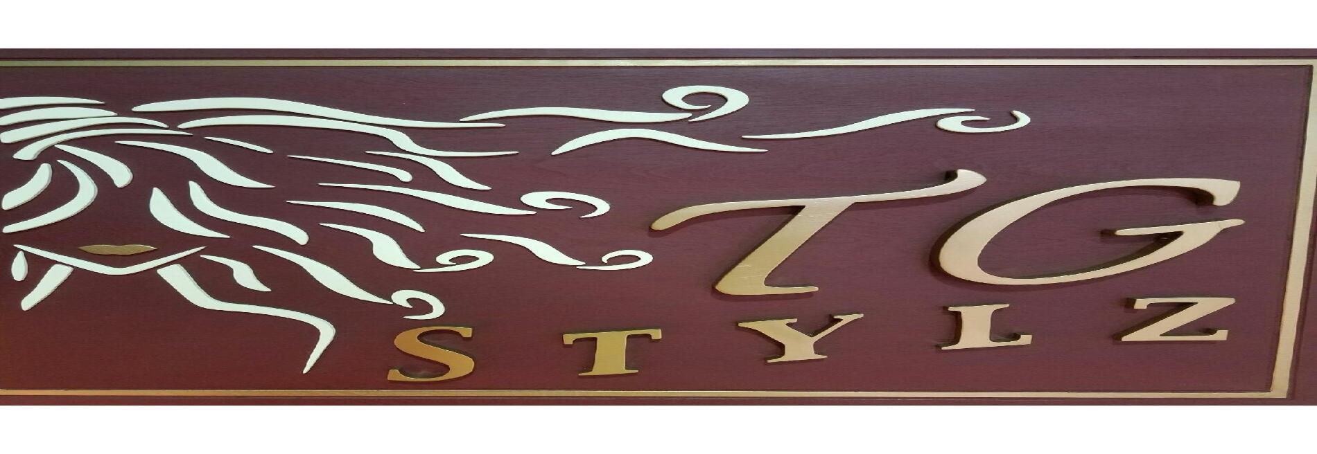 T G Stylz Salon and Spa