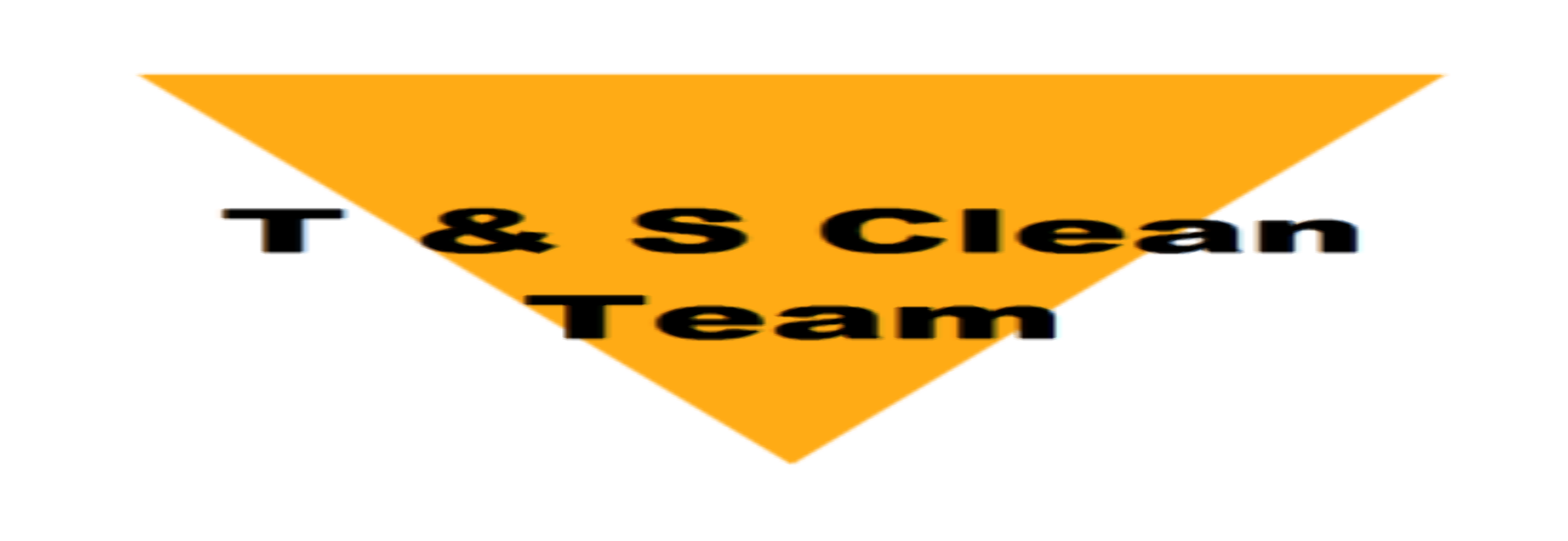 T & S Clean Team