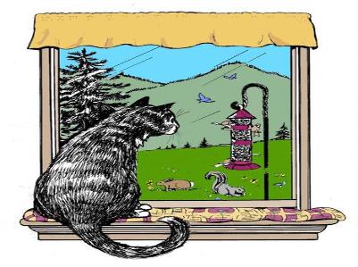 The Country Kitty B & B