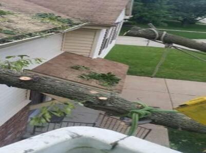 Woolbright?s Lawn and Tree Service